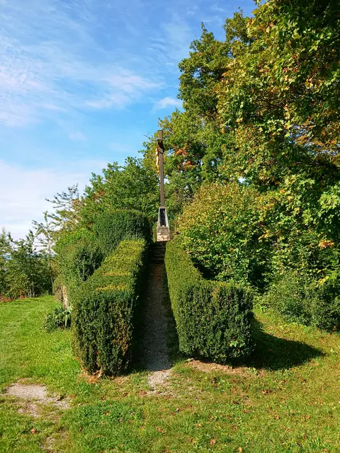 Am Kayberg. Ein Wegle zwischen Bux führt hinauf zum Kreuz.  | Foto: sigischlottke