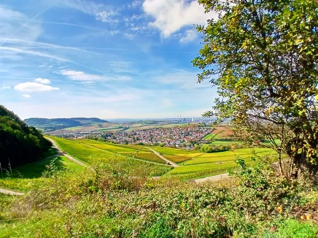 Weite Ausblicke über Binswangen, Wartberg, Neckartal und in die Ferne.  | Foto: sigischlottke