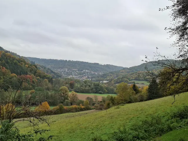 Bissle raus in die schöne Natur🍂🍁🍂🍁🍂 | Foto: Ralf Röser