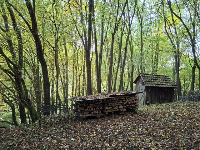 Bissle raus in die schöne Natur🍂🍁🍂🍁🍂 | Foto: Ralf Röser