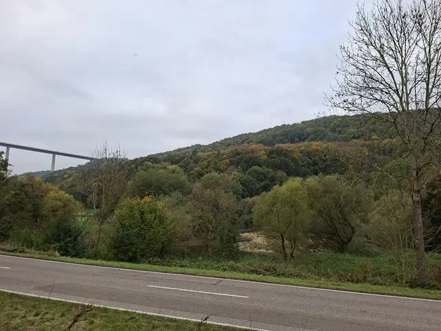 Bissle raus in die schöne Natur🍂🍁🍂🍁🍂 | Foto: Ralf Röser