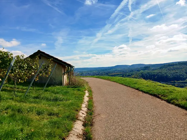 Nun geht's durch die Weinberge auf den Rückweg. | Foto: sigischlottke