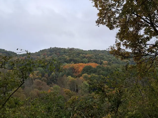 Bissle raus in die schöne Natur🍂🍁🍂🍁🍂 | Foto: Ralf Röser