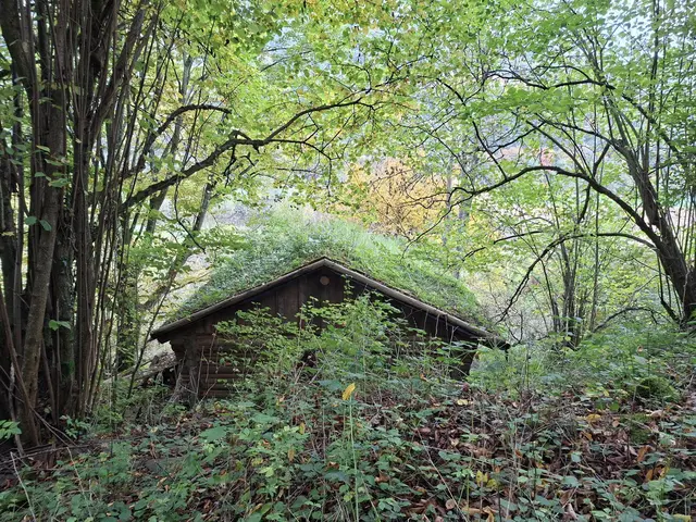 Bissle raus in die schöne Natur🍂🍁🍂🍁🍂 | Foto: Ralf Röser