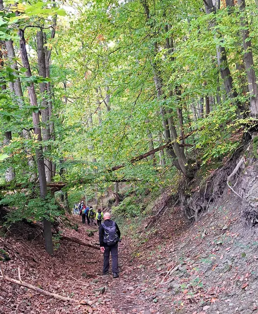 Wildromantisch geht es abwärts Richtung Philosophenweg | Foto: Isolde Reitz