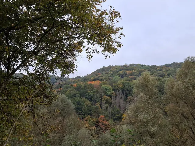 Bissle raus in die schöne Natur🍂🍁🍂🍁🍂 | Foto: Ralf Röser