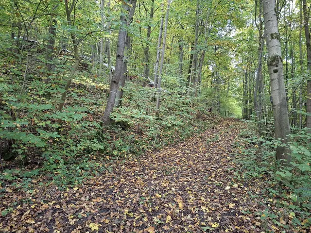 Bissle raus in die schöne Natur🍂🍁🍂🍁🍂 | Foto: Ralf Röser