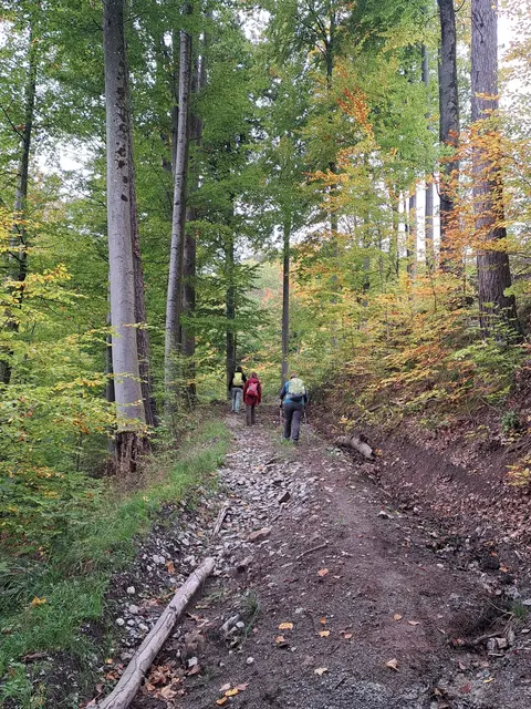 Bald hätten wir es geschafft, wenn der Weg nicht zugewachsen wäre! | Foto: Isolde Reitz