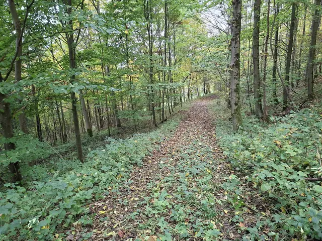 Bissle raus in die schöne Natur🍂🍁🍂🍁🍂 | Foto: Ralf Röser