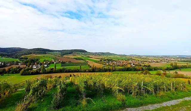 Herrlicher Blick vom Steinbacher Tal bis nach Öhringen. | Foto: Isolde Reitz