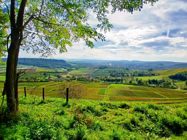 Am Hangweg in Gellmersbach angekommen.  Was für ein herrlicher Ausblick ins Weinsberger Tal.   | Foto: sigischlottke