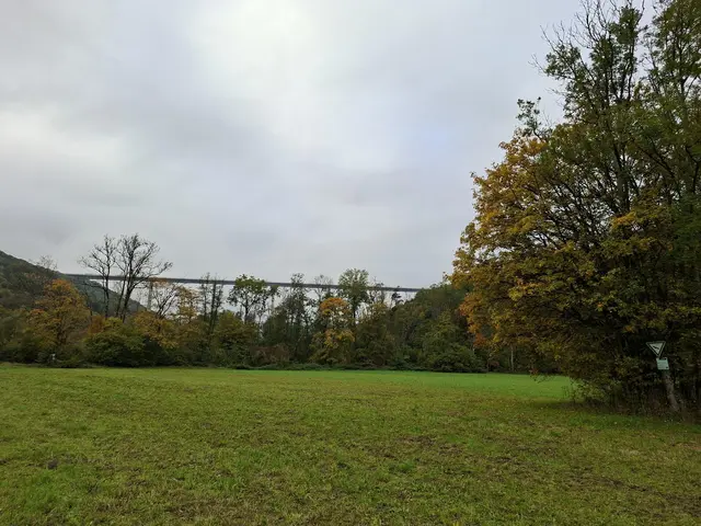 Bissle raus in die schöne Natur🍂🍁🍂🍁🍂 | Foto: Ralf Röser