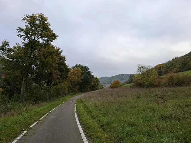 Bissle raus in die schöne Natur🍂🍁🍂🍁🍂 | Foto: Ralf Röser