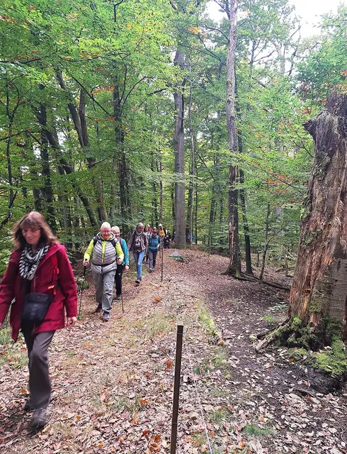 Beeindruckender Höhenrandweg am Klippenrand des Wilfersberg entlang. | Foto: Isolde Reitz