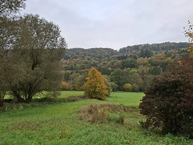 Bissle raus in die schöne Natur🍂🍁🍂🍁🍂 | Foto: Ralf Röser