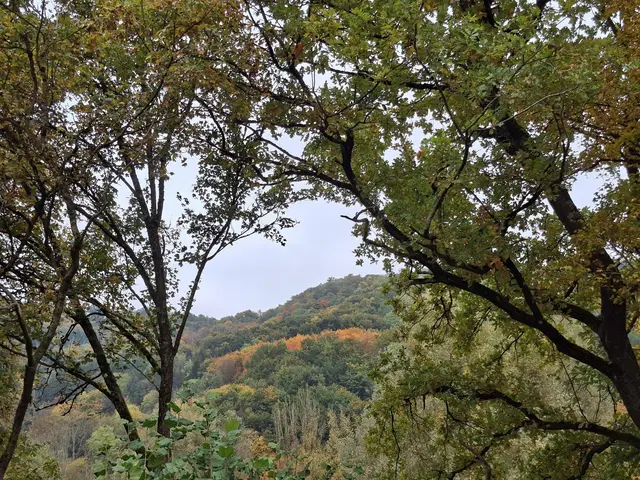 Bissle raus in die schöne Natur🍂🍁🍂🍁🍂 | Foto: Ralf Röser