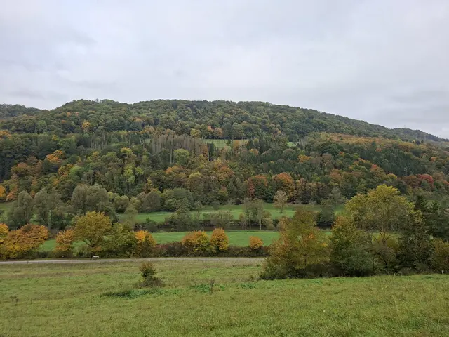 Bissle raus in die schöne Natur🍂🍁🍂🍁🍂 | Foto: Ralf Röser