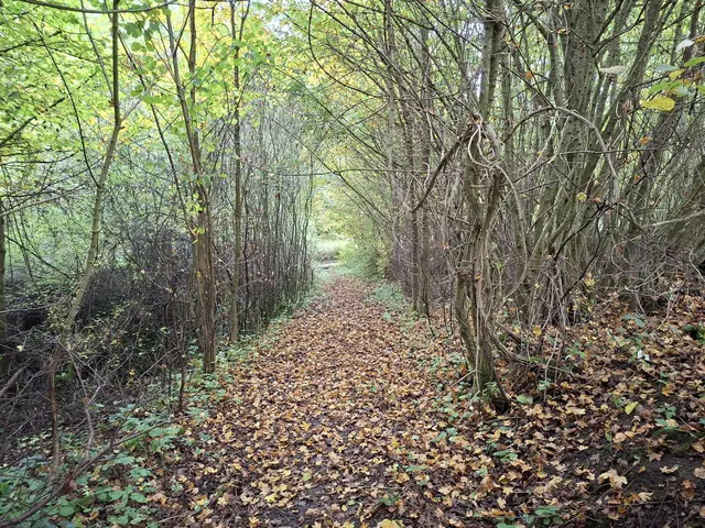 Bissle raus in die schöne Natur🍂🍁🍂🍁🍂 | Foto: Ralf Röser
