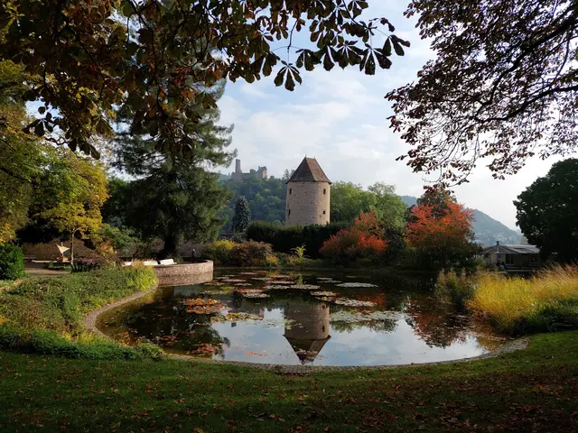 Der Seerosenteich im Schlosspark wetteigert mit dem Blauen Hut-Turm und der Burgruine Windeck. | Foto: Foto privat