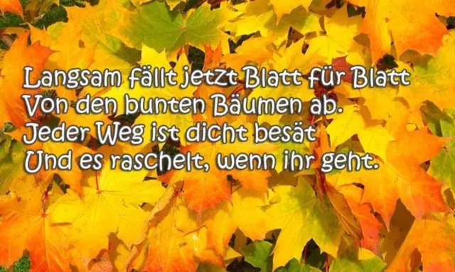 Der Versuch eines Herbstgedichtes frei nach Goethe. | Foto: Google