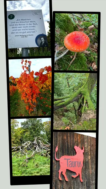 Eine Bildcollage von der Tour. | Foto: Isolde Reitz