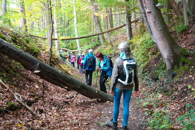 Mannigfaltige Pilzarten werden inspiziert und fotografiert. | Foto: Isolde Reitz