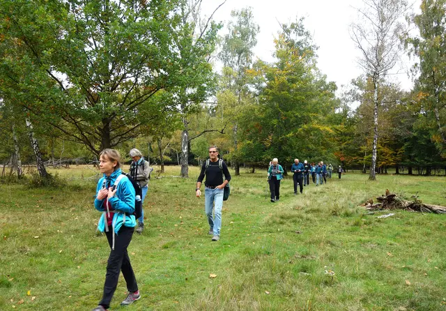 Die unter Naturschutz stehende Obere Viehweide. | Foto: Isolde Reitz