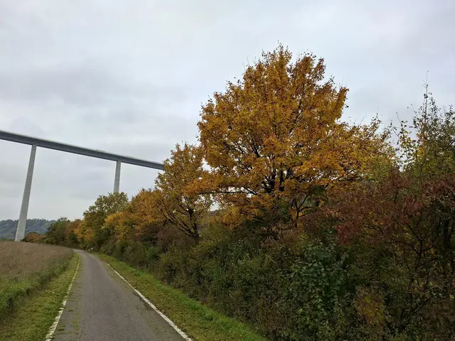 Bissle raus in die schöne Natur🍂🍁🍂🍁🍂 | Foto: Ralf Röser
