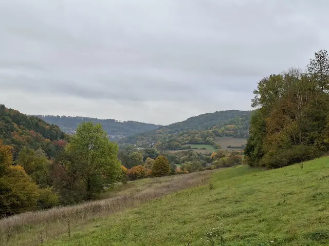 Bissle raus in die schöne Natur🍂🍁🍂🍁🍂 | Foto: Ralf Röser