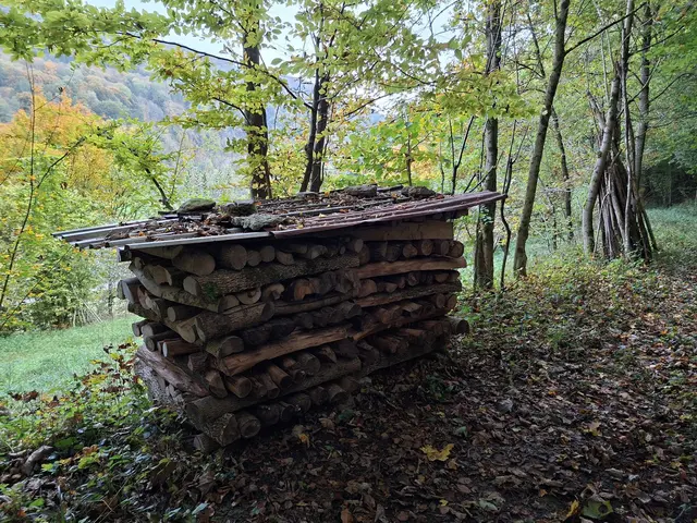 Bissle raus in die schöne Natur🍂🍁🍂🍁🍂 | Foto: Ralf Röser