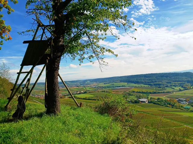Von diesem Hochsitz ist wahrscheinlich die Aussicht noch genialer.  | Foto: sigischlottke