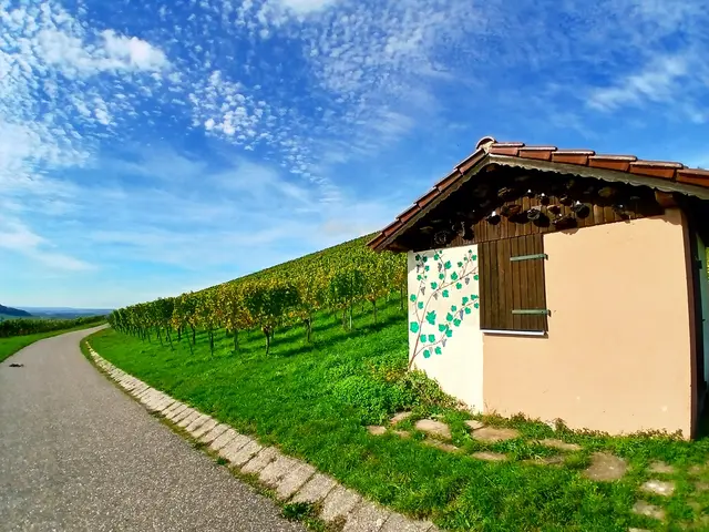 Dieses Wengertshäusle ist auch außergewöhnlich. (Bild bei der Vorwanderung gemacht).  | Foto: sigischlottke