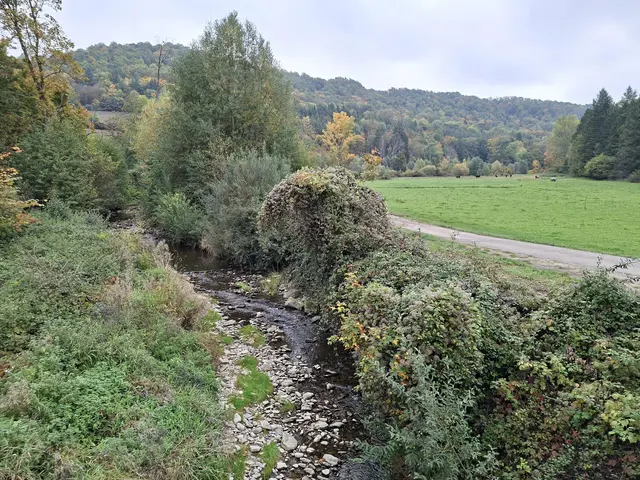 Bissle raus in die schöne Natur🍂🍁🍂🍁🍂 | Foto: Ralf Röser