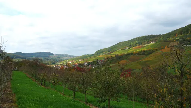 Der Ranzenberg mitsamt dem Wilfersberg wird von der Sonne angestrahlt. | Foto: Isolde Reitz