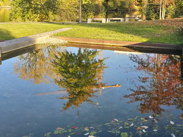 Spiegelungen sind im Herbst besonders schön. | Foto: Heidrun Rosenberger