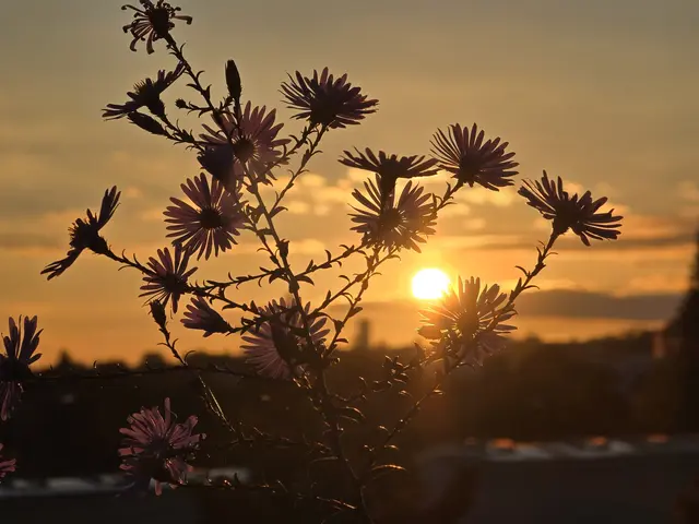 Foto: Heidrun Rosenberger