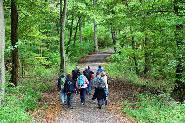 Hier lässt es sich bequem durch den Wald wandern.   | Foto: Michael Harmsen 