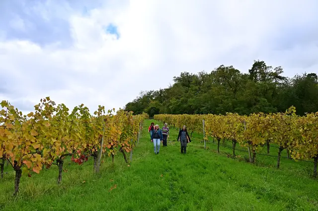 Alle haben es ohne Ausrutscher geschafft!!! | Foto: Michael Harmsen 