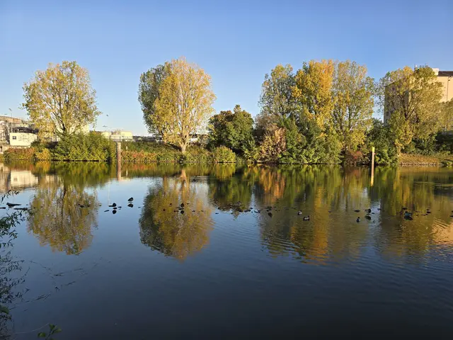 Foto: Heidrun Rosenberger