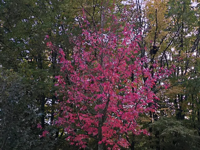 Foto: Heidrun Rosenberger
