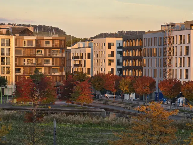 Unglaublich, wie die Farben der Bäume in der untergehenden Sonne strahlen. | Foto: Heidrun Rosenberger