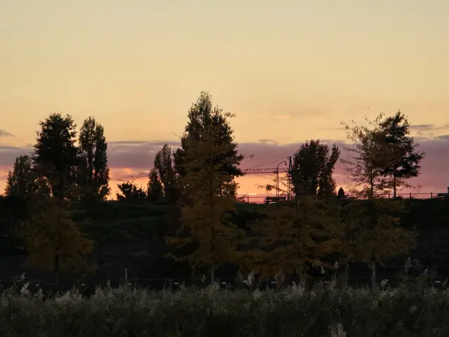 Foto: Heidrun Rosenberger