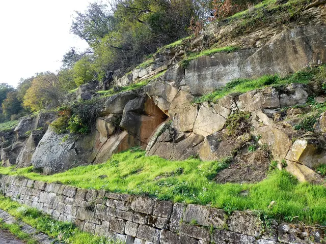 Die Abbruchkante am Sommerrain  - ein Biotop für Insekten,  Eidechsen und Vögel.  
(Archivbild).  | Foto: sigischlottke 