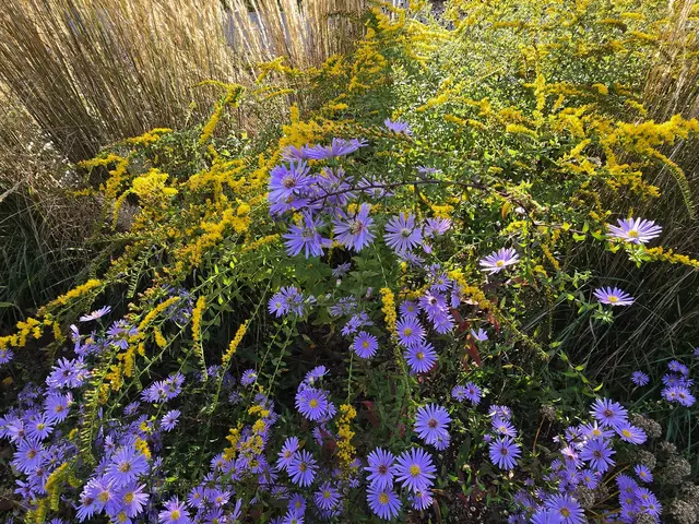 Foto: Heidrun Rosenberger