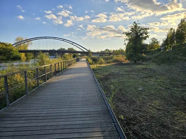 Das komplette Schilf ist entfernt. | Foto: Heidrun Rosenberger