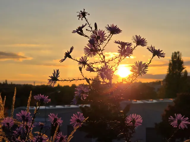Foto: Heidrun Rosenberger