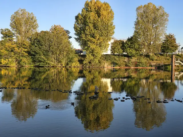Foto: Heidrun Rosenberger