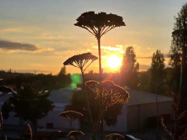 Foto: Heidrun Rosenberger