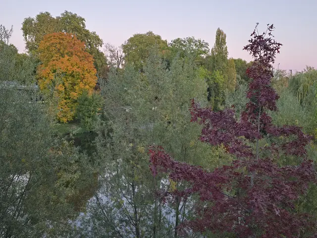 Foto: Heidrun Rosenberger