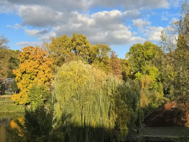 Foto: Heidrun Rosenberger